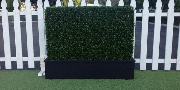 rental-hedge